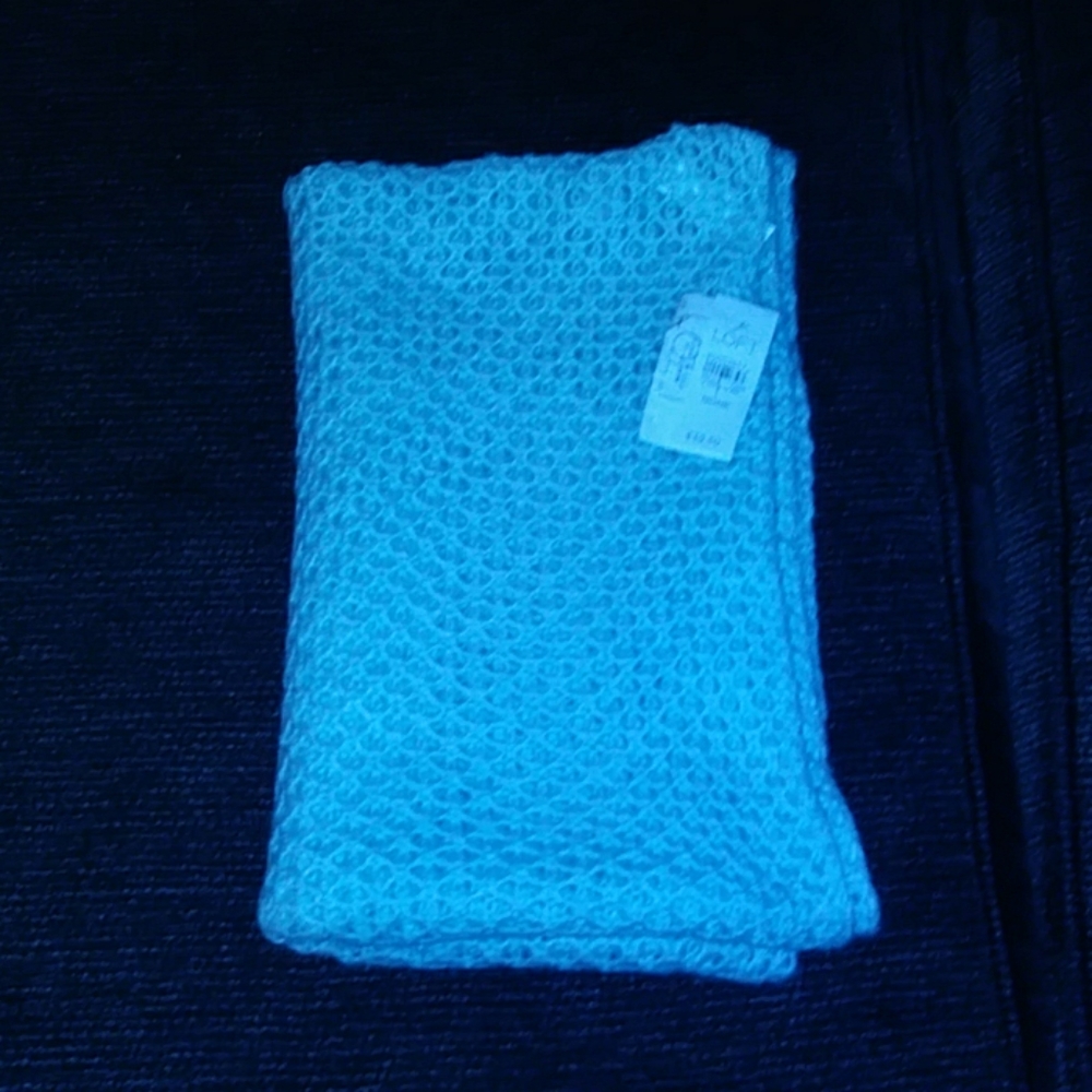 Ann Taylor Loft Scarf